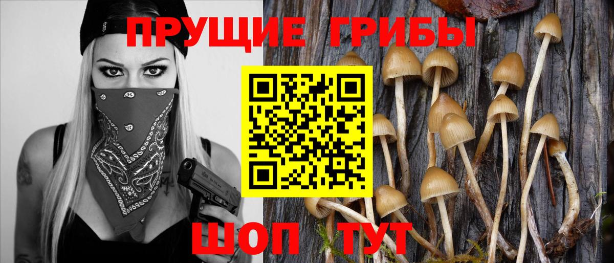 Галлюциногенные грибы ЛСД  Вход с VPN  Алапаевск 